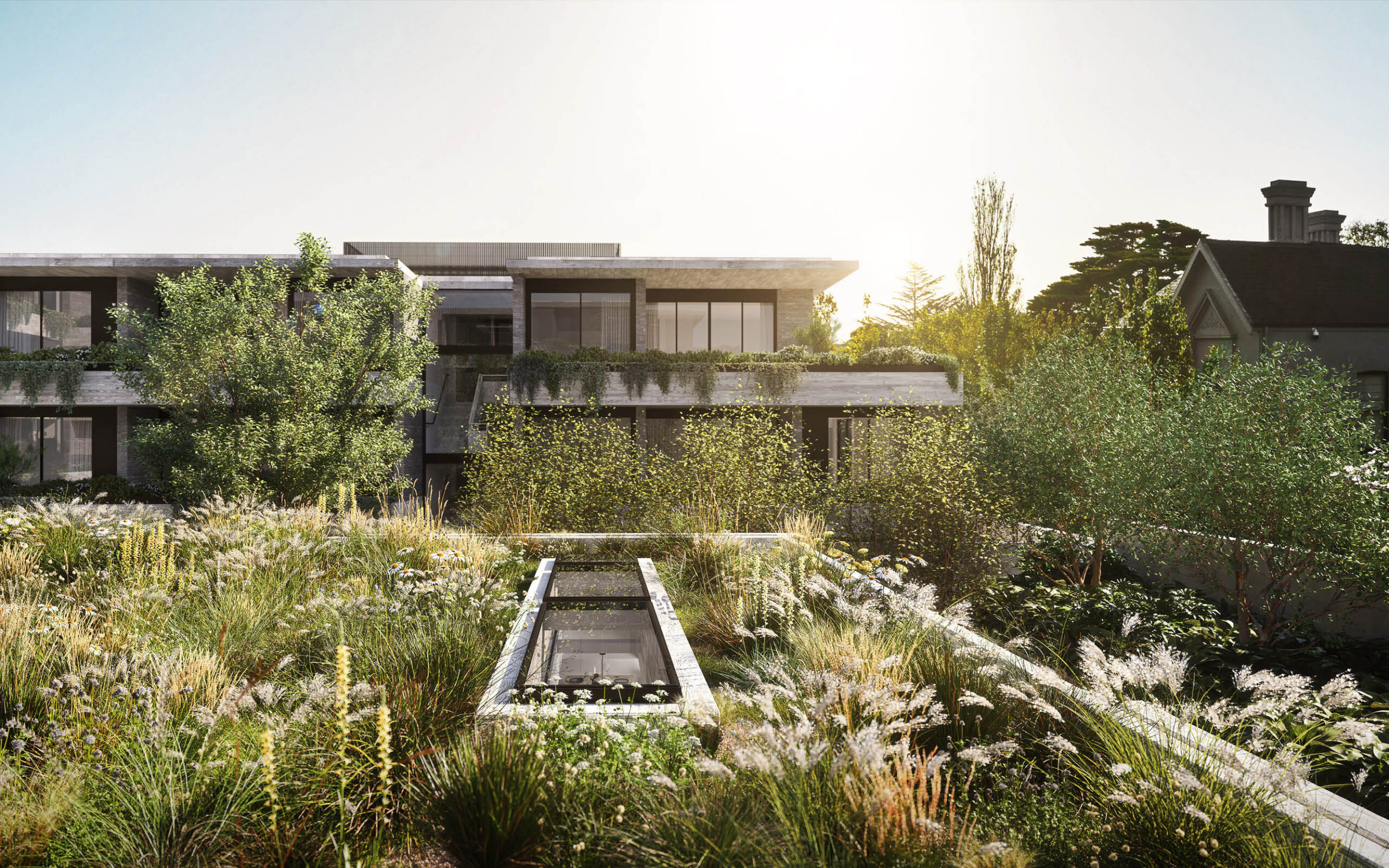 Piccolo House barry street landscape_3