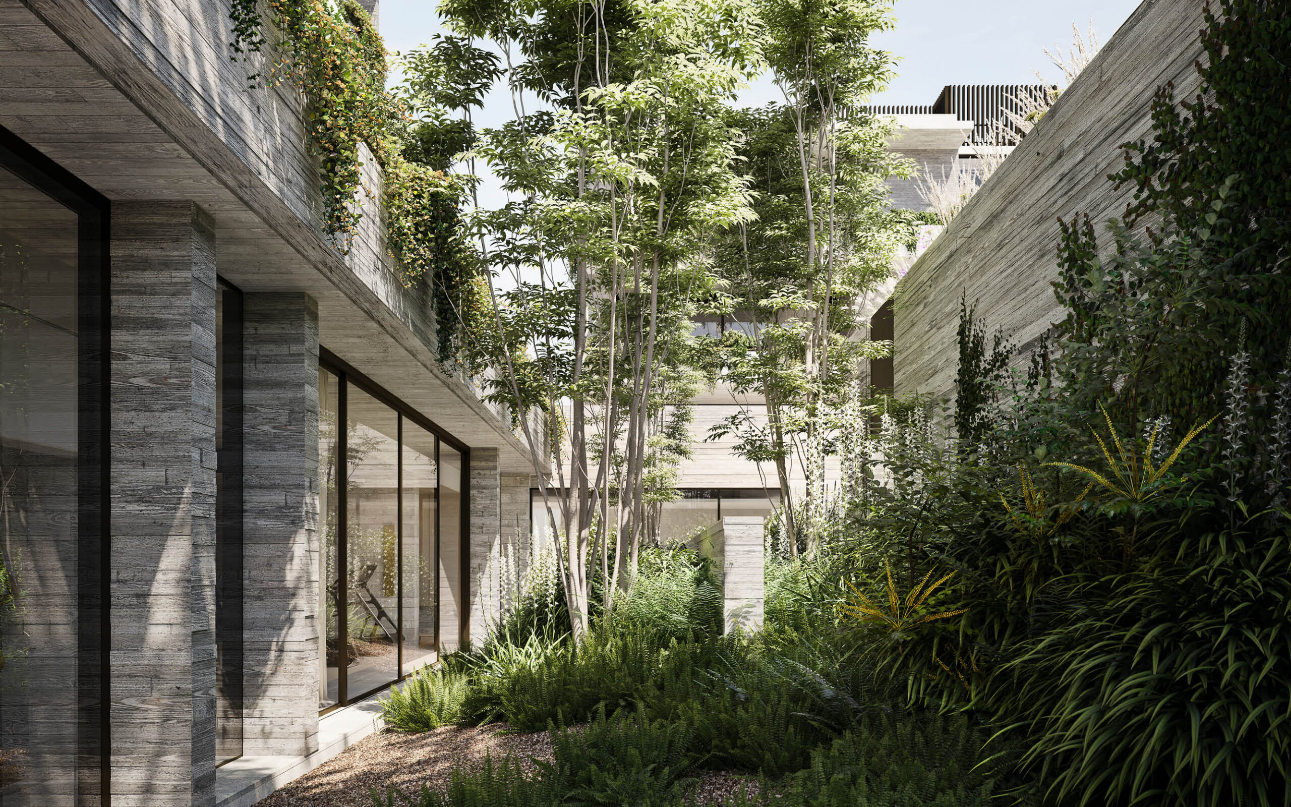 Piccolo House barry street landscape_4